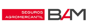 Logo-bam-seguros-01